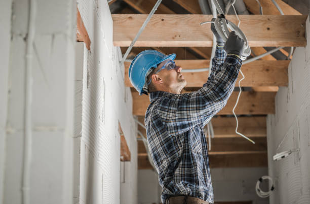 Best Circuit Breaker Repair  in Danvers, IL