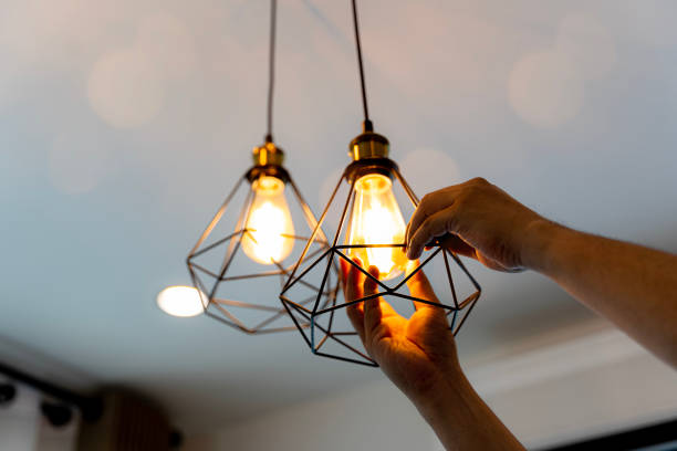Best Commercial Electrician Services  in Danvers, IL