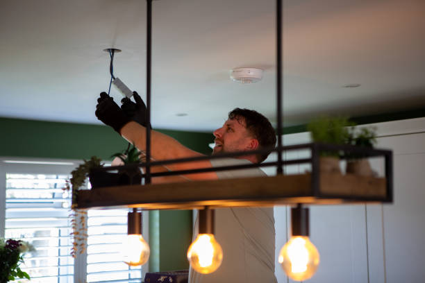 Best Outdoor Lighting Installation  in Danvers, IL